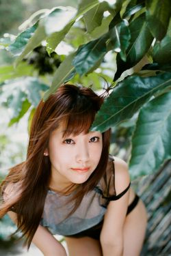 少年白马醉春风在线播放免费